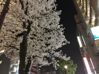 image1.jpeg