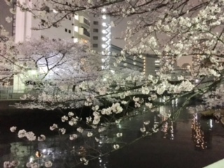 image2.jpeg