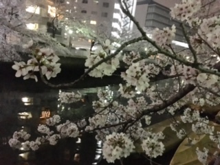 image3.jpeg
