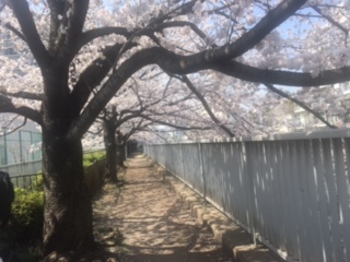 image1.jpeg
