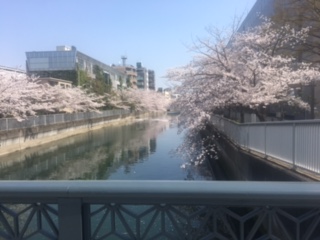 image3.jpeg