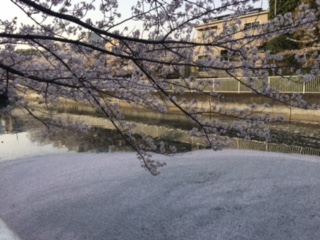 image2.jpeg