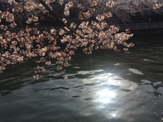 image3.jpeg