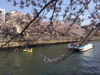 image1.jpeg