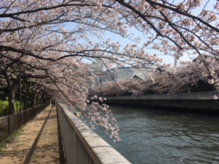 image2.jpeg