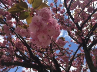 image1.jpeg