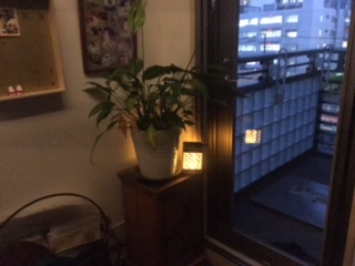 image4.jpeg