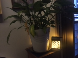 image5.jpeg
