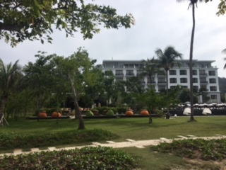 image4.jpeg