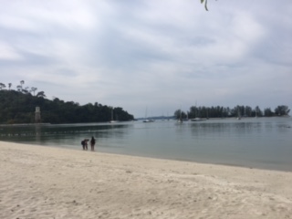 image5.jpeg
