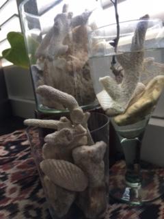 image1.jpeg