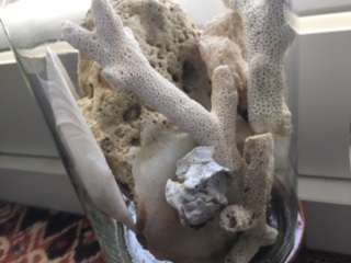 image5.jpeg