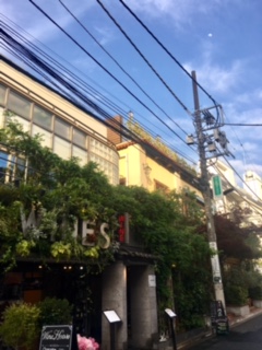 image1.jpeg