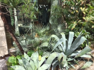 image1.jpeg