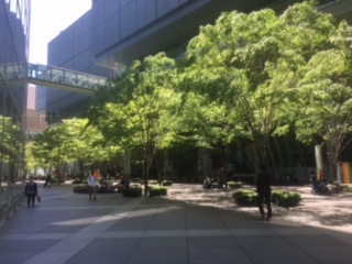image1.jpeg