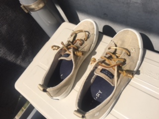 image1.jpeg