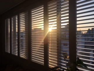 image1.jpeg