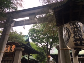 image2.jpeg