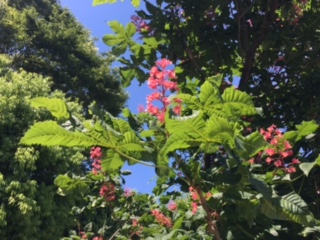 image1.jpeg