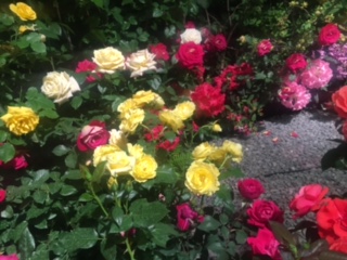image5.jpeg