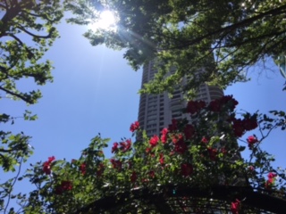 image1.jpeg