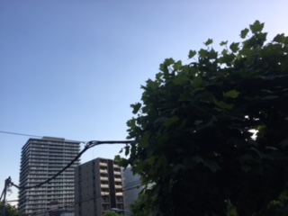 image1.jpeg