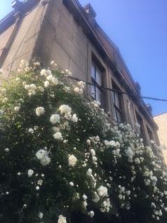 image1.jpeg