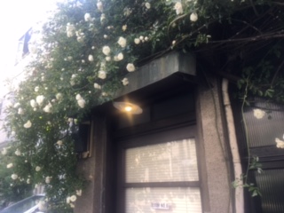 image2.jpeg