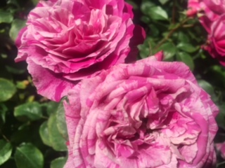 image3.jpeg