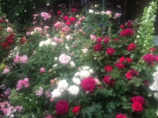 image4.jpeg