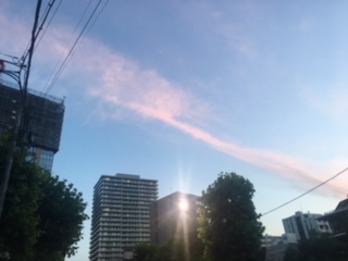 image1.jpeg