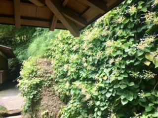 image3.jpeg