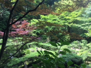 image2.jpeg