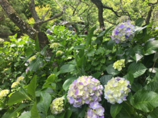 image4.jpeg
