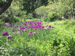 image5.jpeg