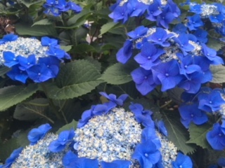 image1.jpeg