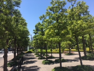 image1.jpeg