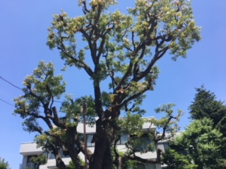 image5.jpeg
