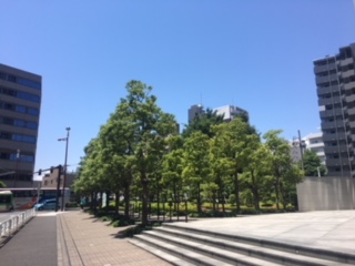 image1.jpeg