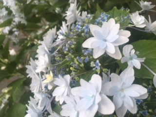 image1.jpeg