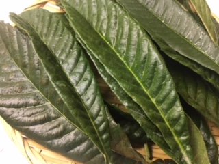 image2.jpeg
