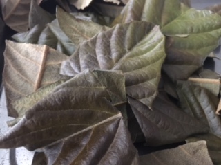 image4.jpeg