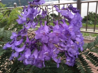 image3.jpeg