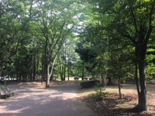 image1.jpeg