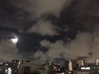 image1.jpeg