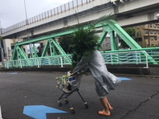 image5.jpeg