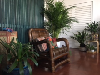 image1.jpeg