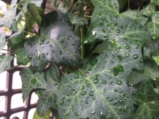 image1.jpeg