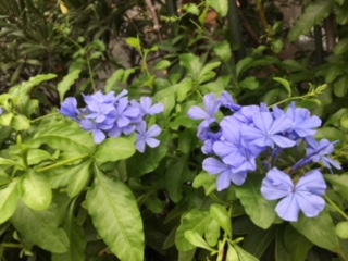 image3.jpeg