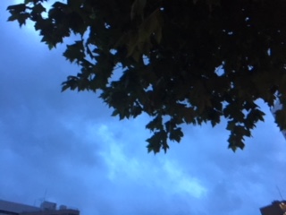 image1.jpeg